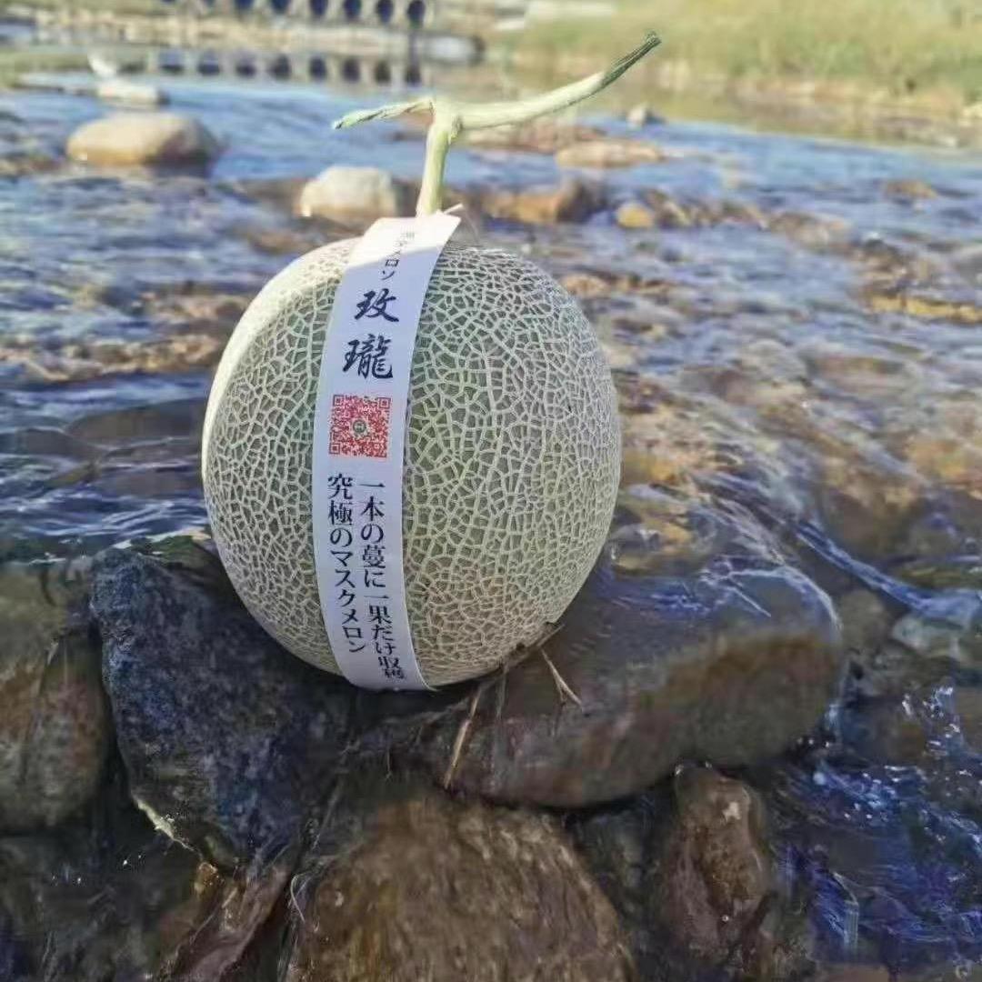 胶州桦光鲜果小时达