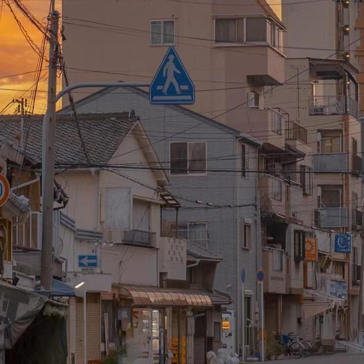 走丢的猫