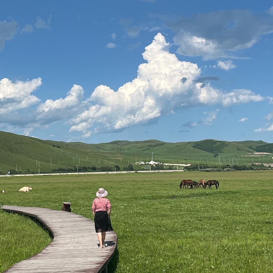 一起看沿途的风景🏞️（好物分享）