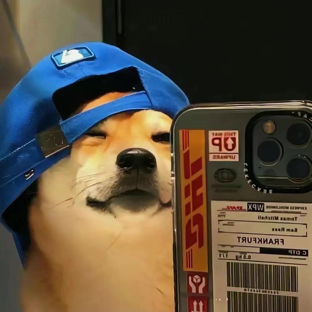 我待你与他人不同 可你始终不懂