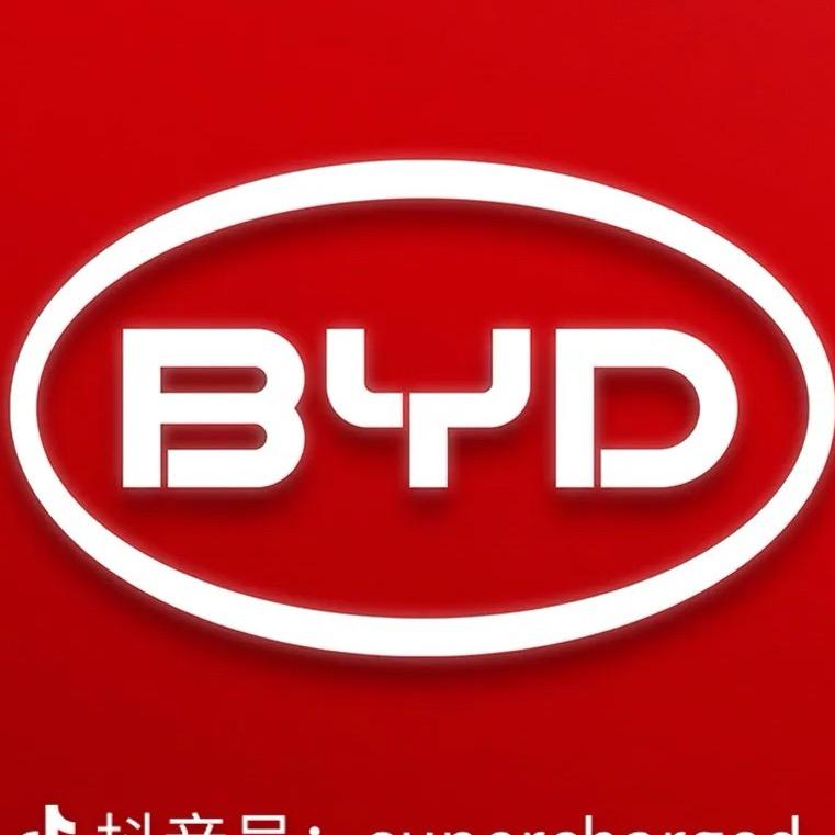 小凯说比亚迪