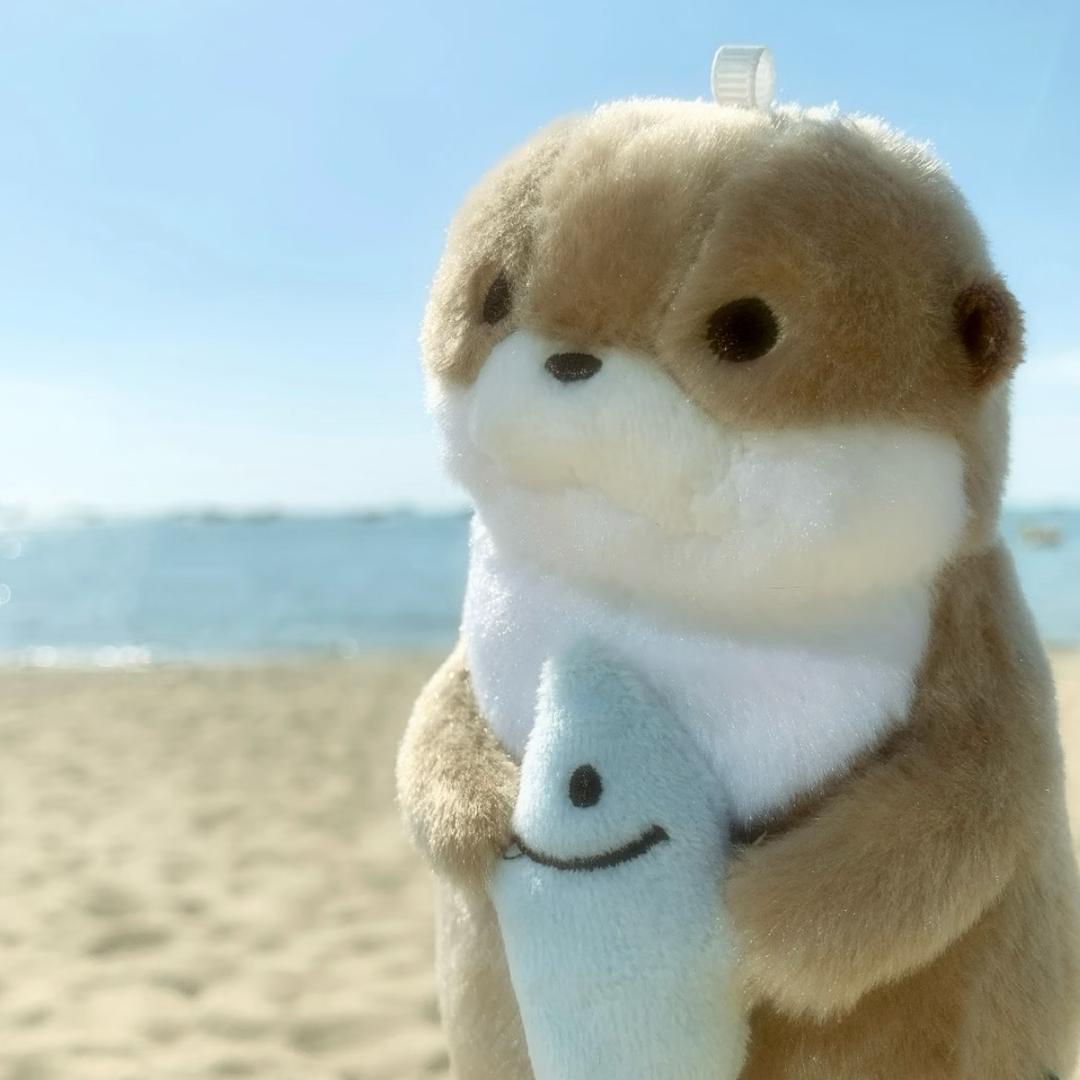 小毅