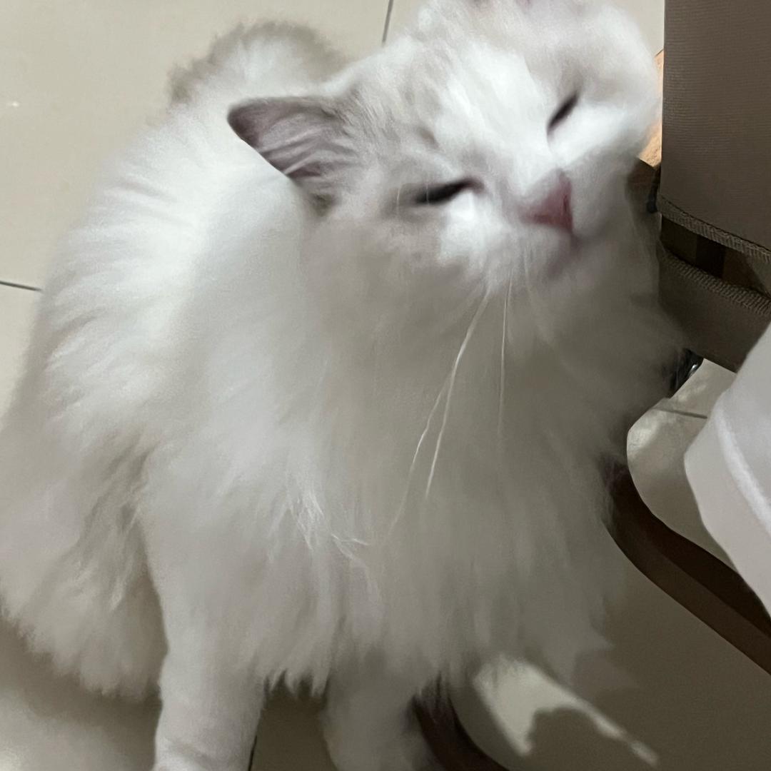 繁昌宽带小有🐱