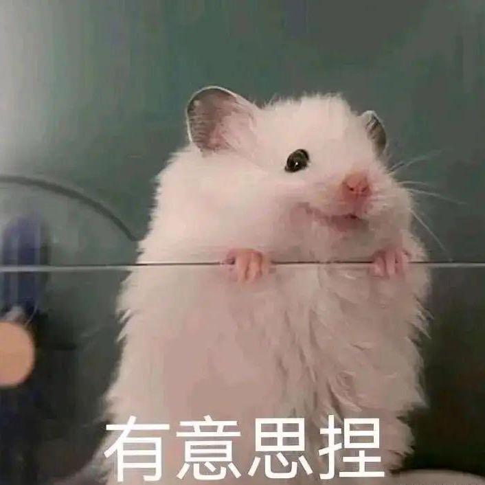 这个世界不能没有可乐