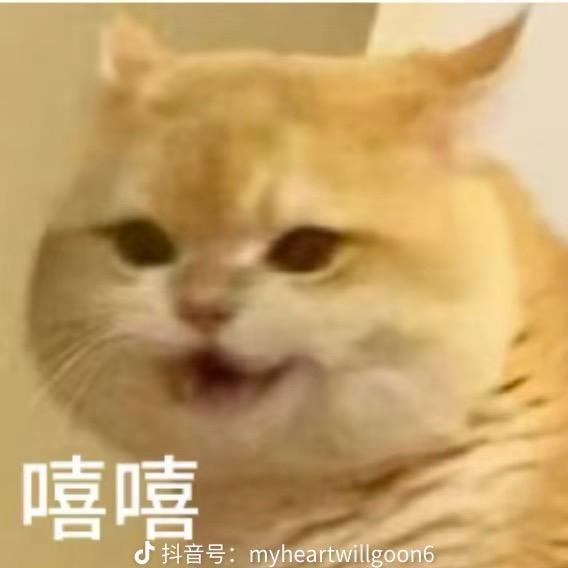 48岁寡妇深夜勇闯男大宿舍楼