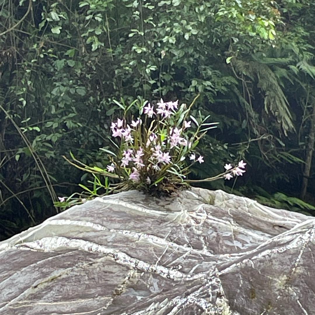 骑着蜗牛去赶集