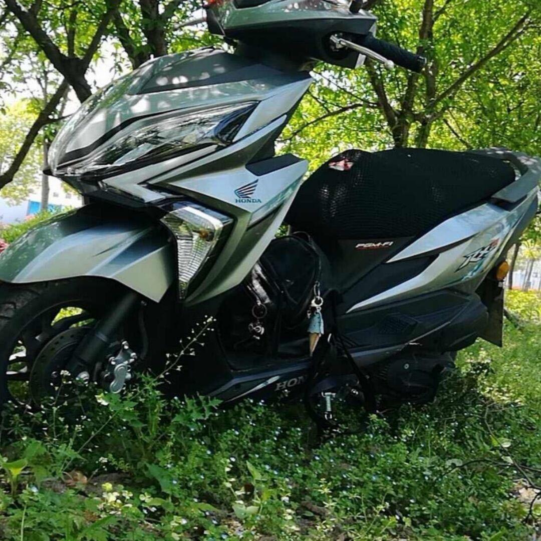 鹿