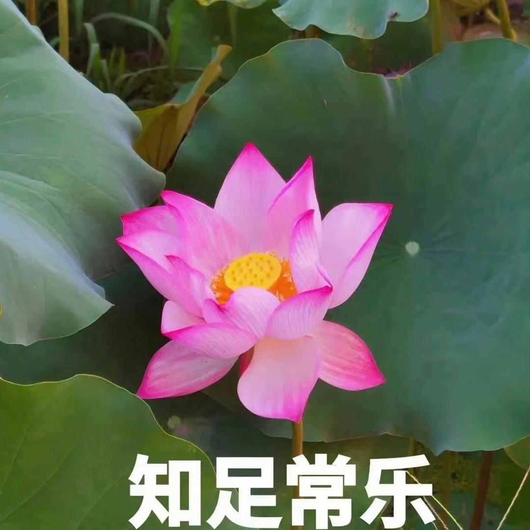 宁静的心8848