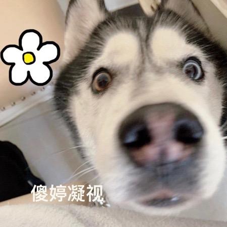 起一个不走心的名字（约拍版）
