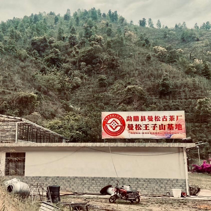 勐腊县曼松古茶厂