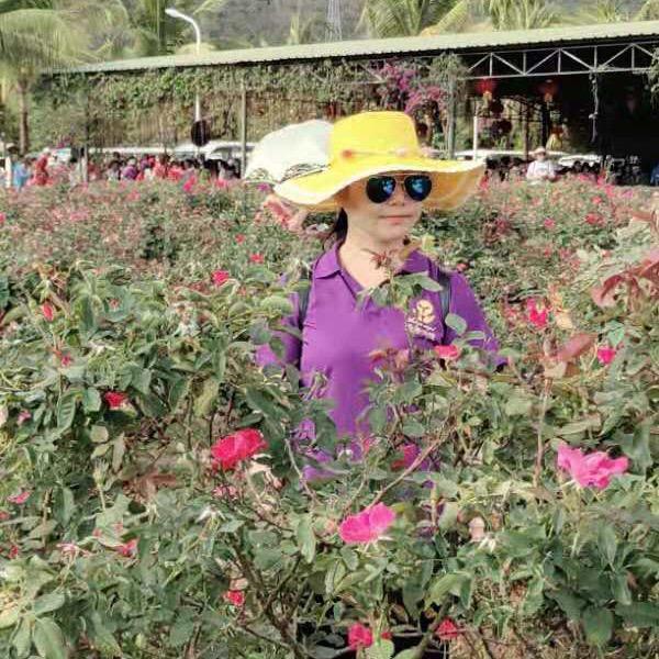 ☀俏妃小店~糖糖