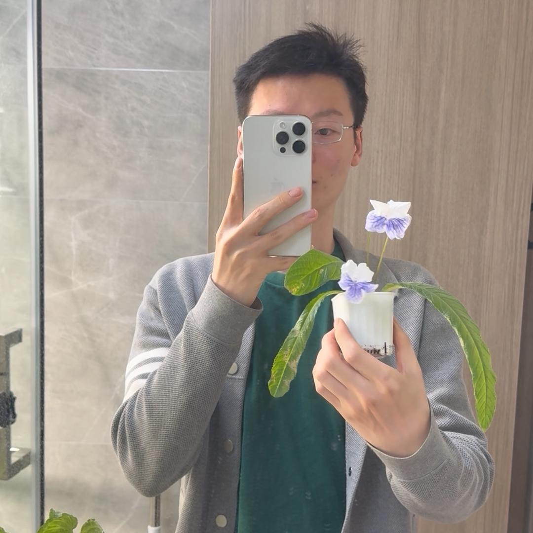 待定🌳