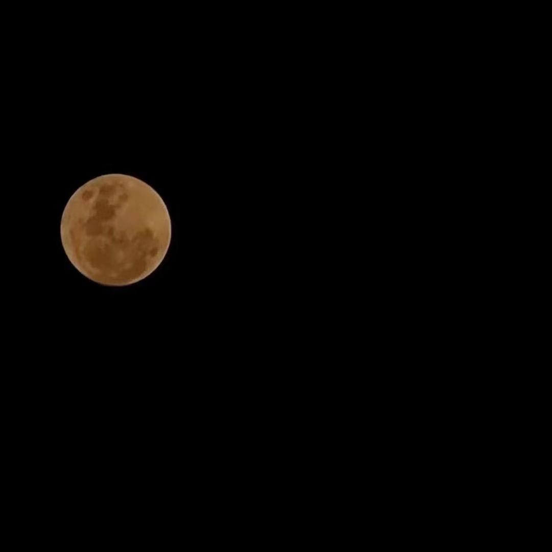春凯