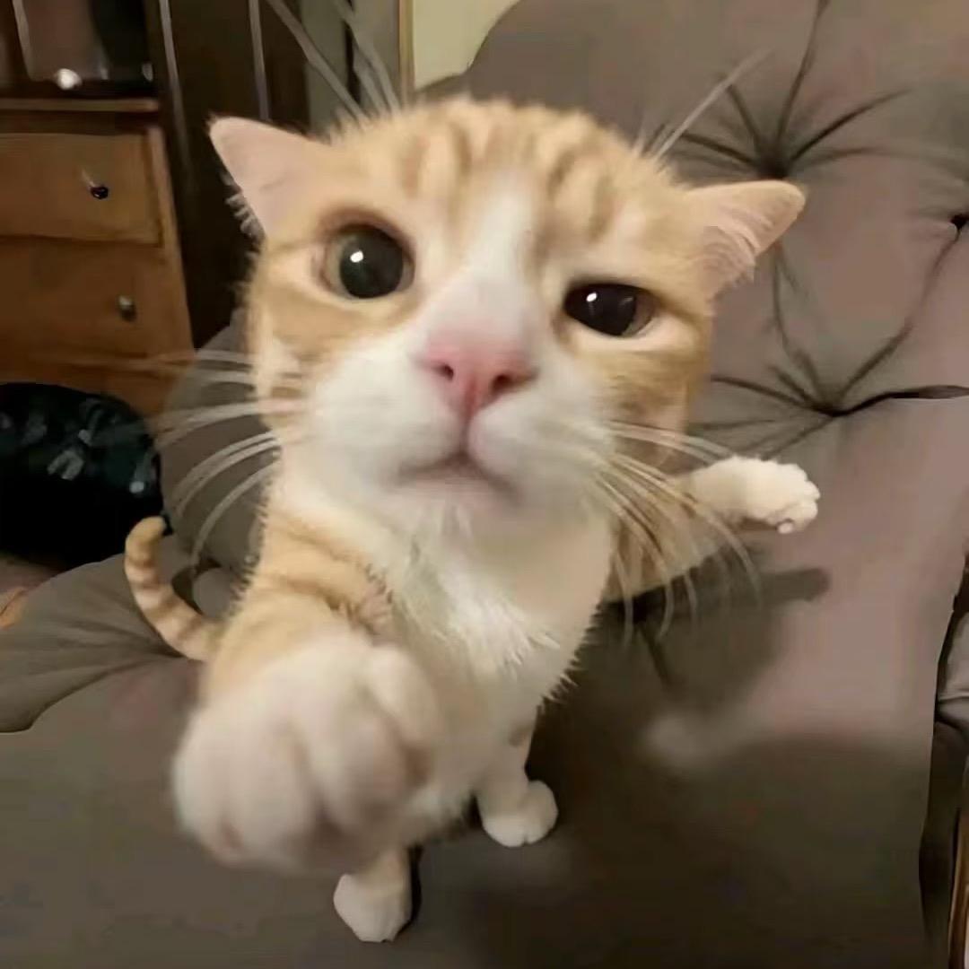 2876