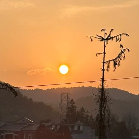 上班就想打瞌睡💤