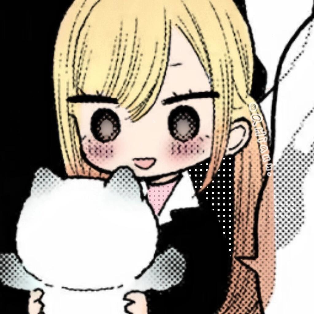 寻猫🐱
