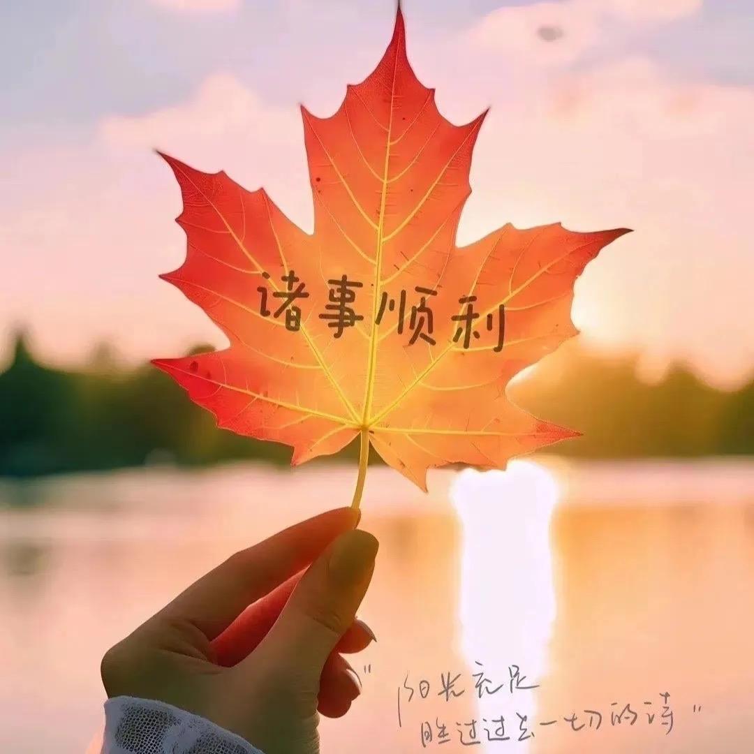 向阳花语