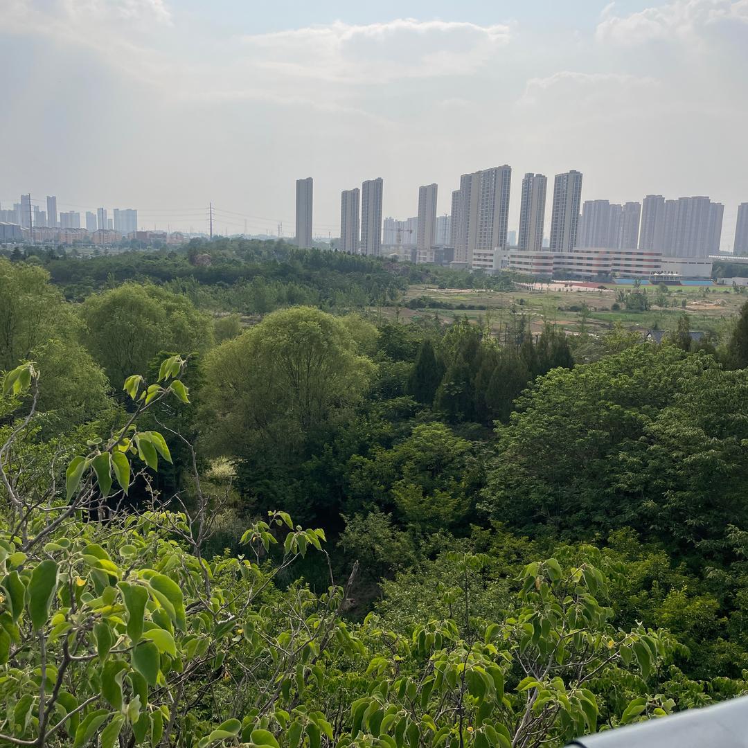 &农家小场