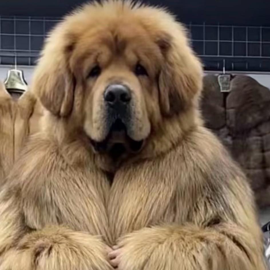 只愿一生爱一人