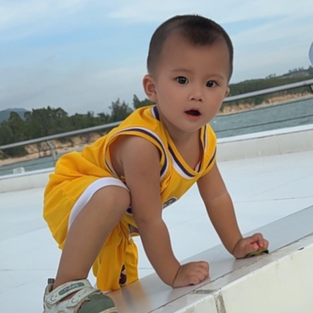 瓦不吃香菜