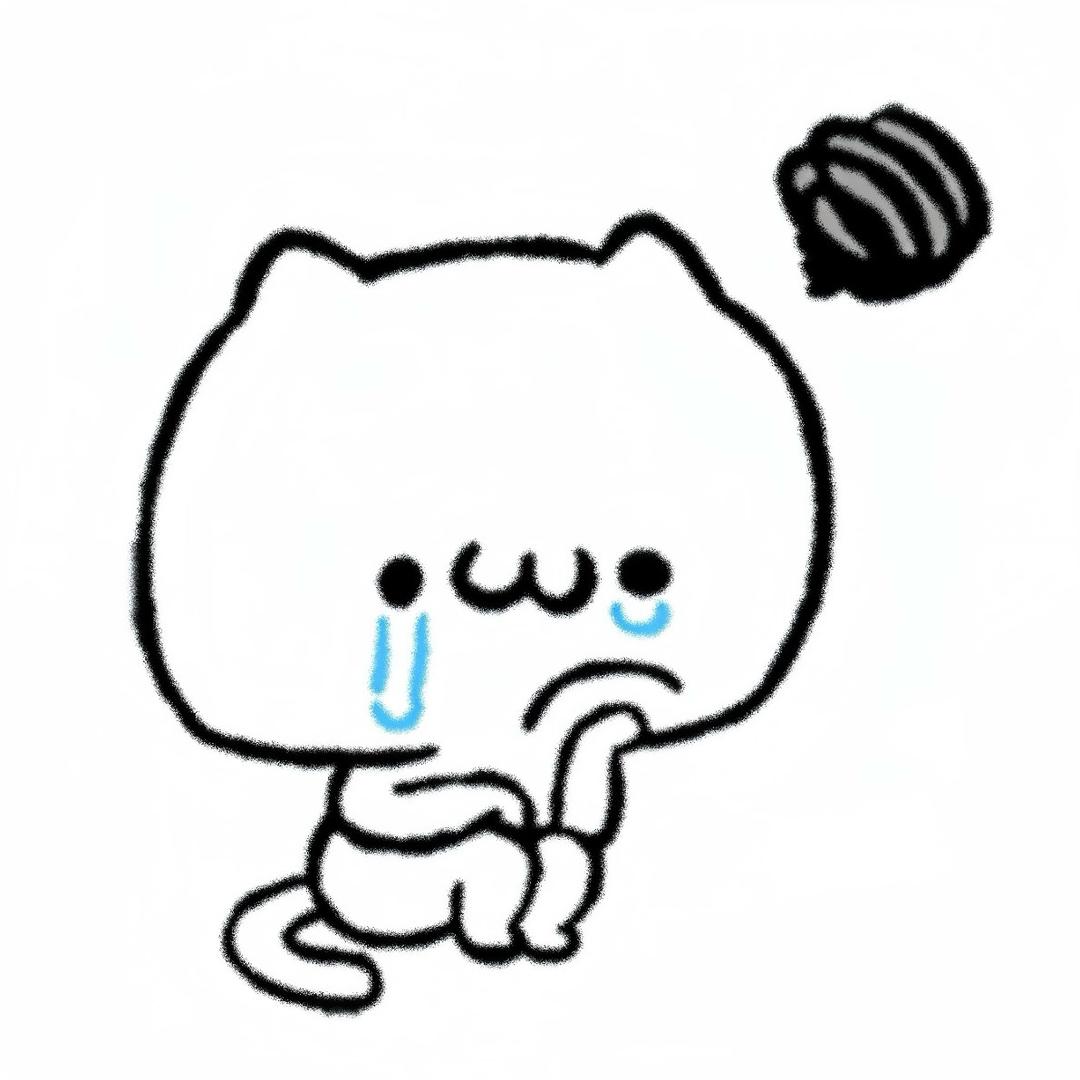 椰壳T^T