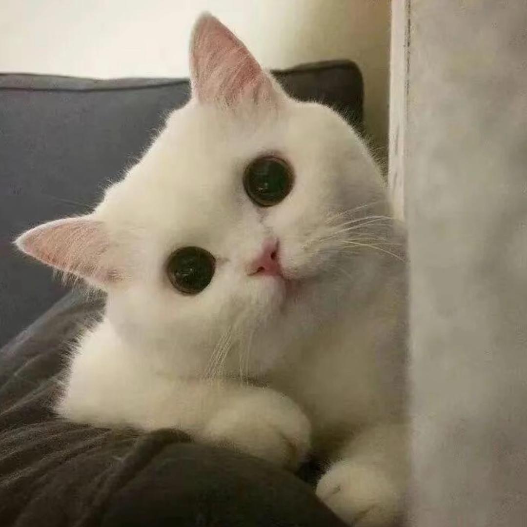 季