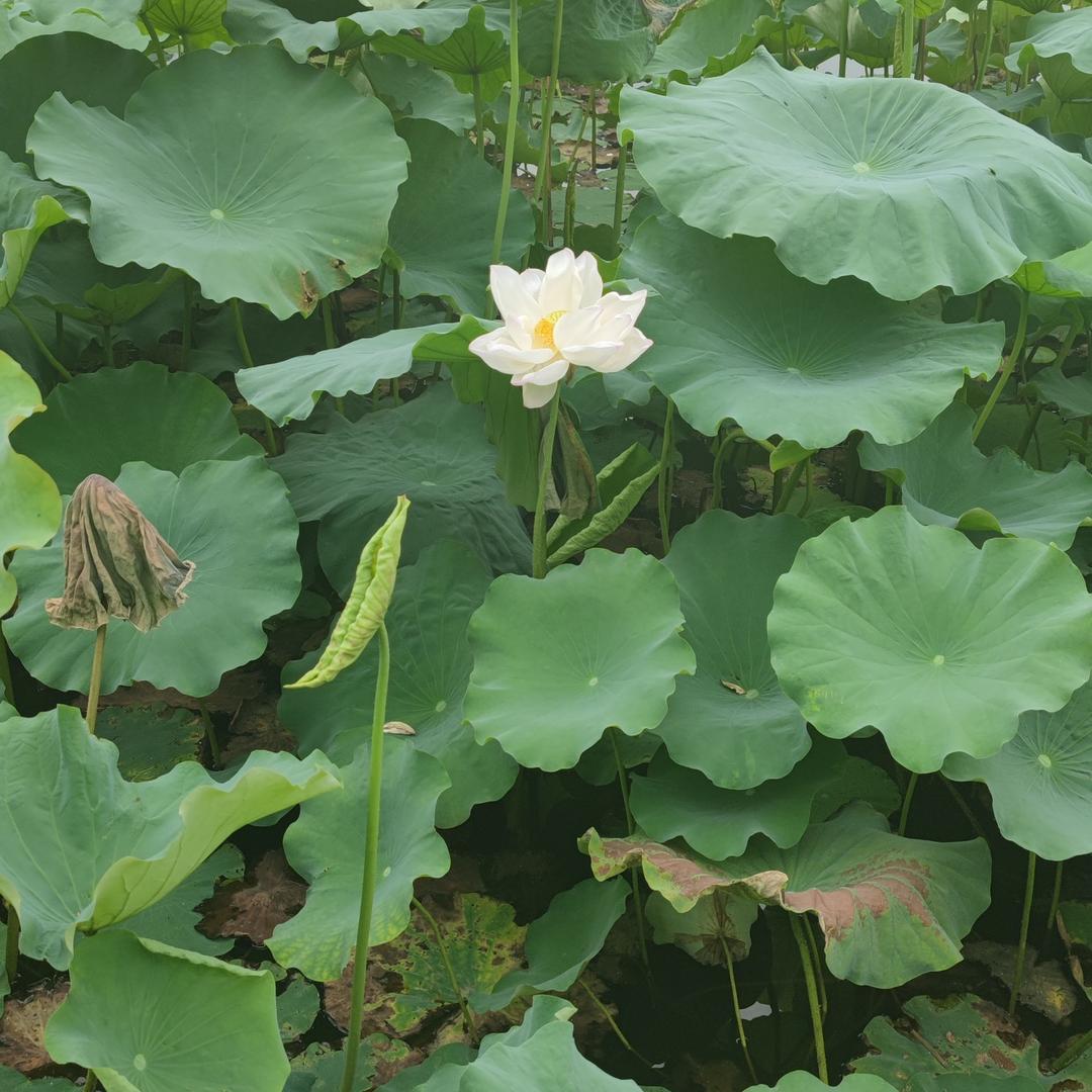 坚持（坚持。再坚持）
