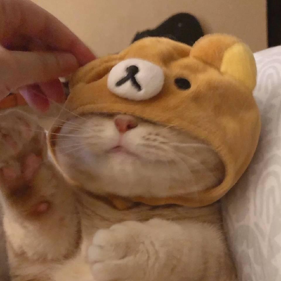 Zz