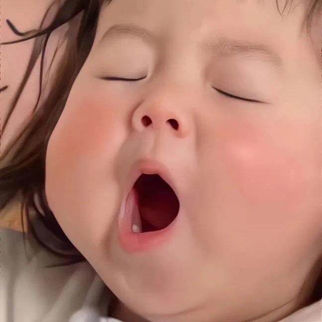 Pp