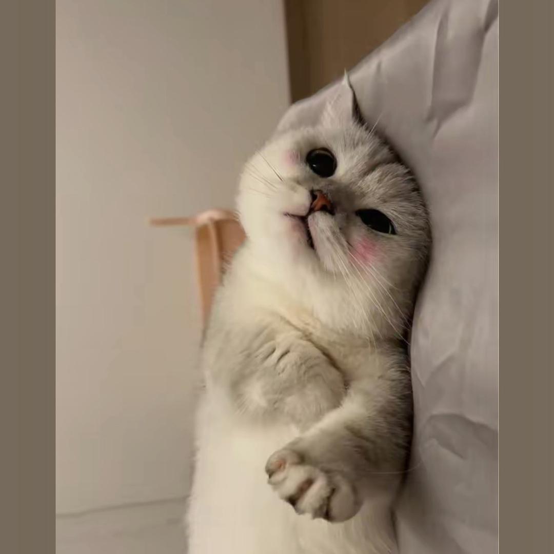 睡不够.