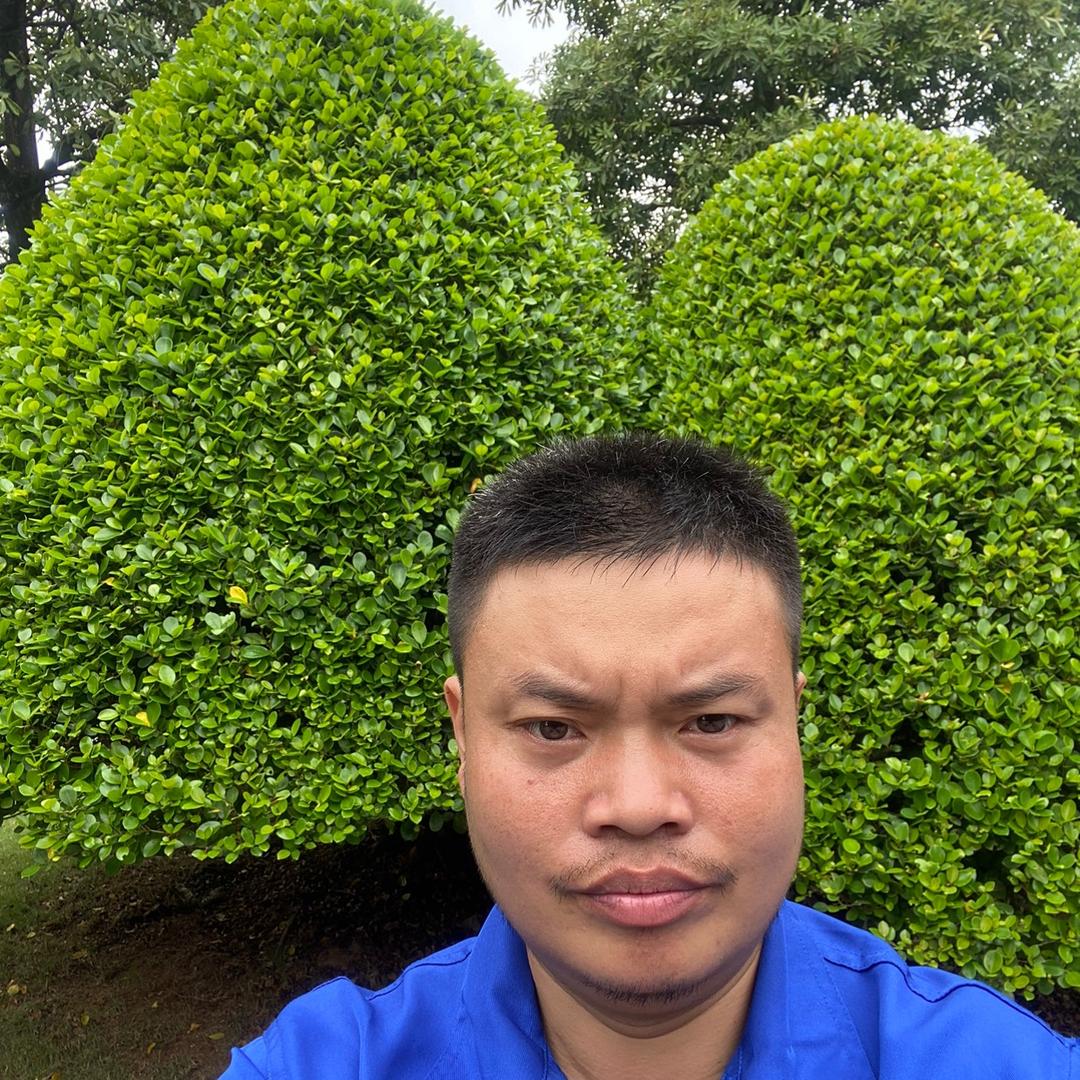 今晚打老虎ᕕ(ᐛ)ᕗ