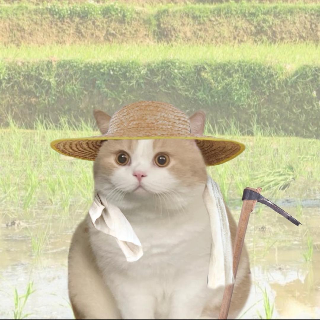 肥美的咪咪子