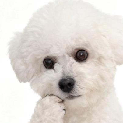 🌈小团团的抖音🍯