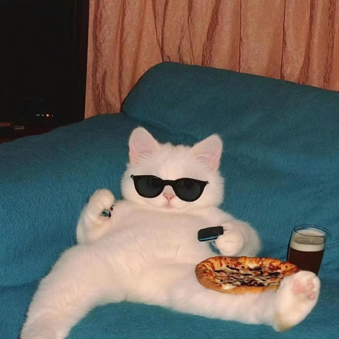 猫咪吃甚（薅全网羊毛）