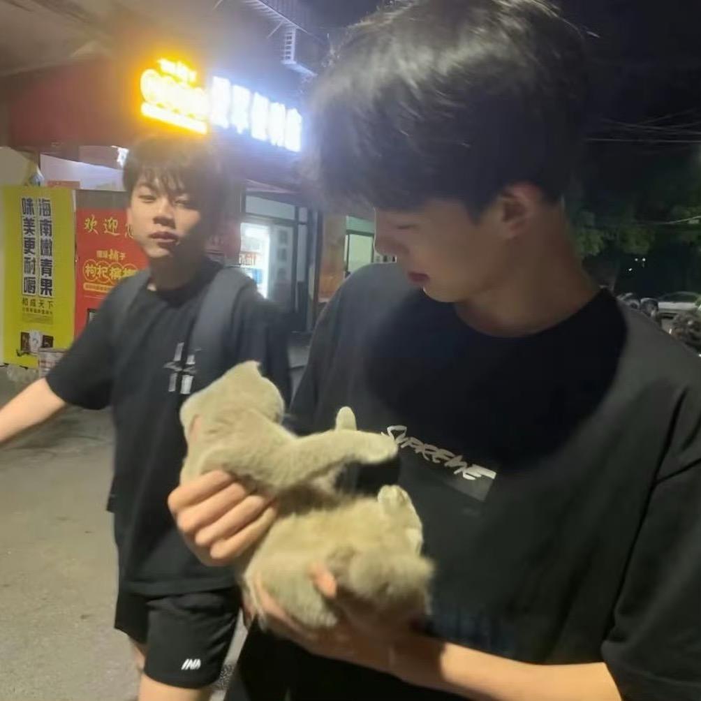 南村群童欺我老无力
