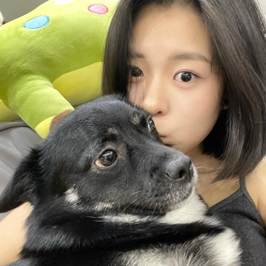 小黑狗子