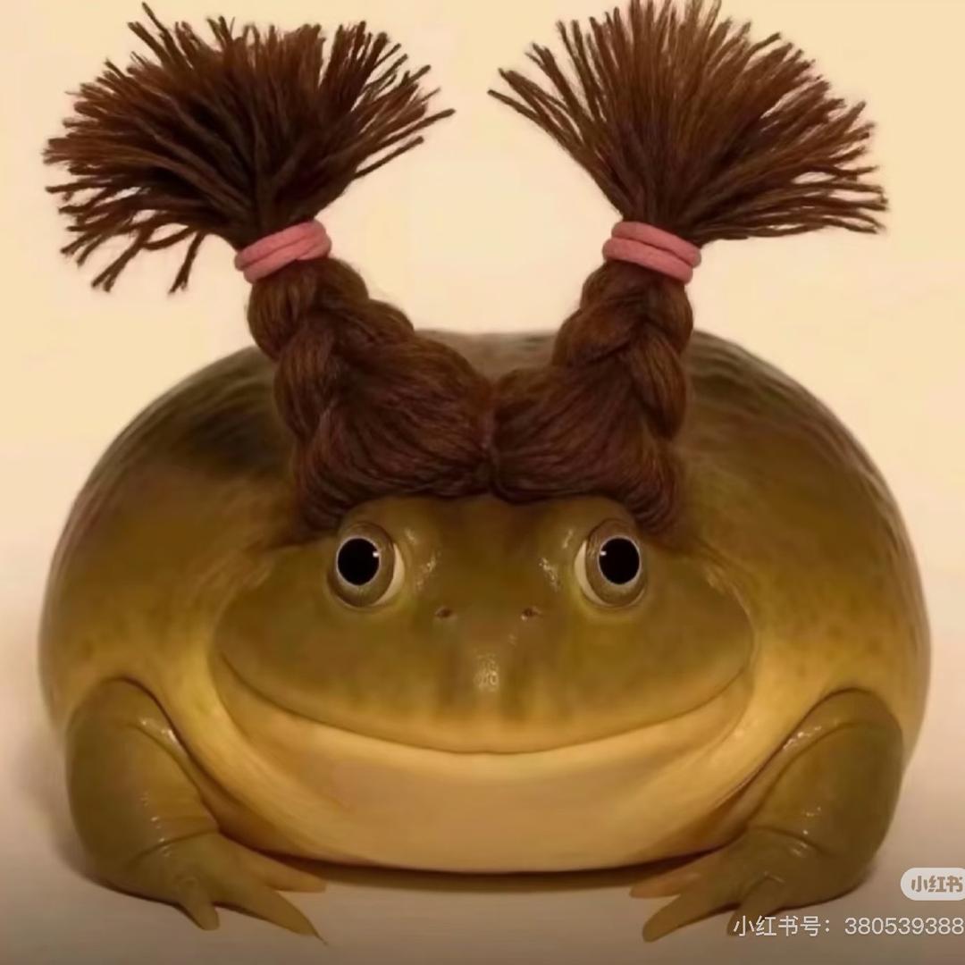 红豆豆🫘