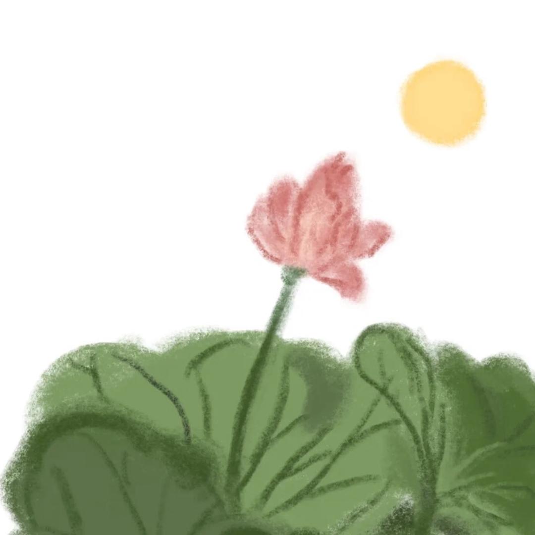 水