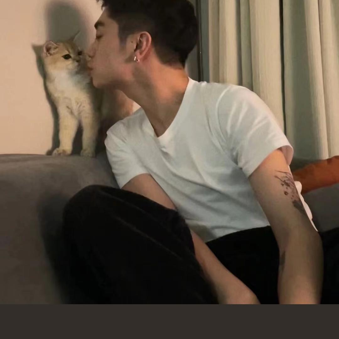 养个小鸡毛🦮