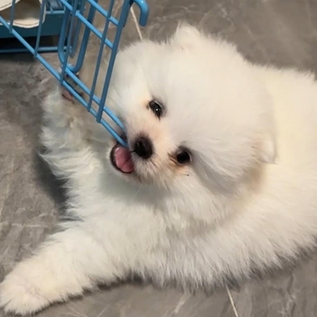 小太阳晒吗