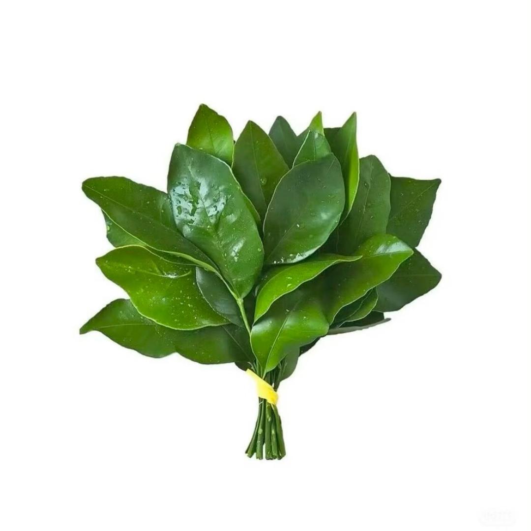 王多鱼
