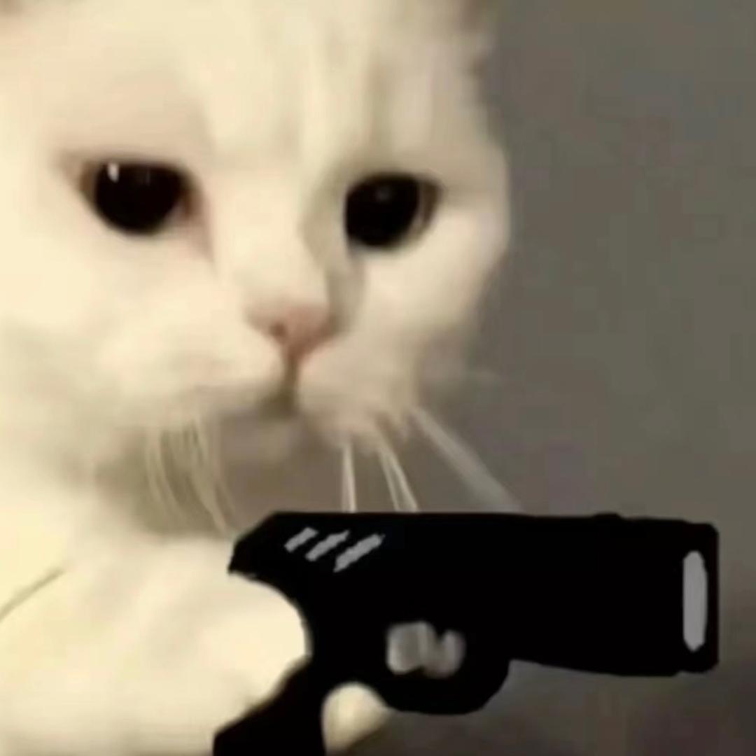 猫猫猪