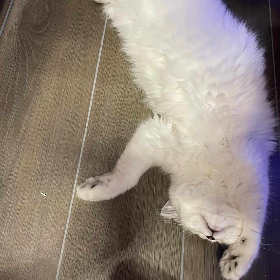 像杰伦一样打球