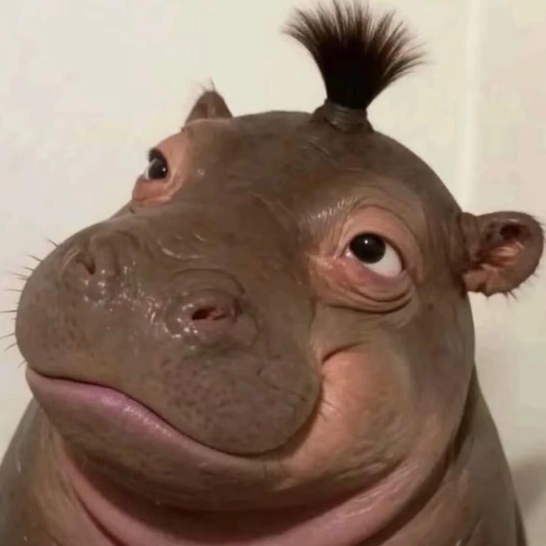 是你的胖虎吗