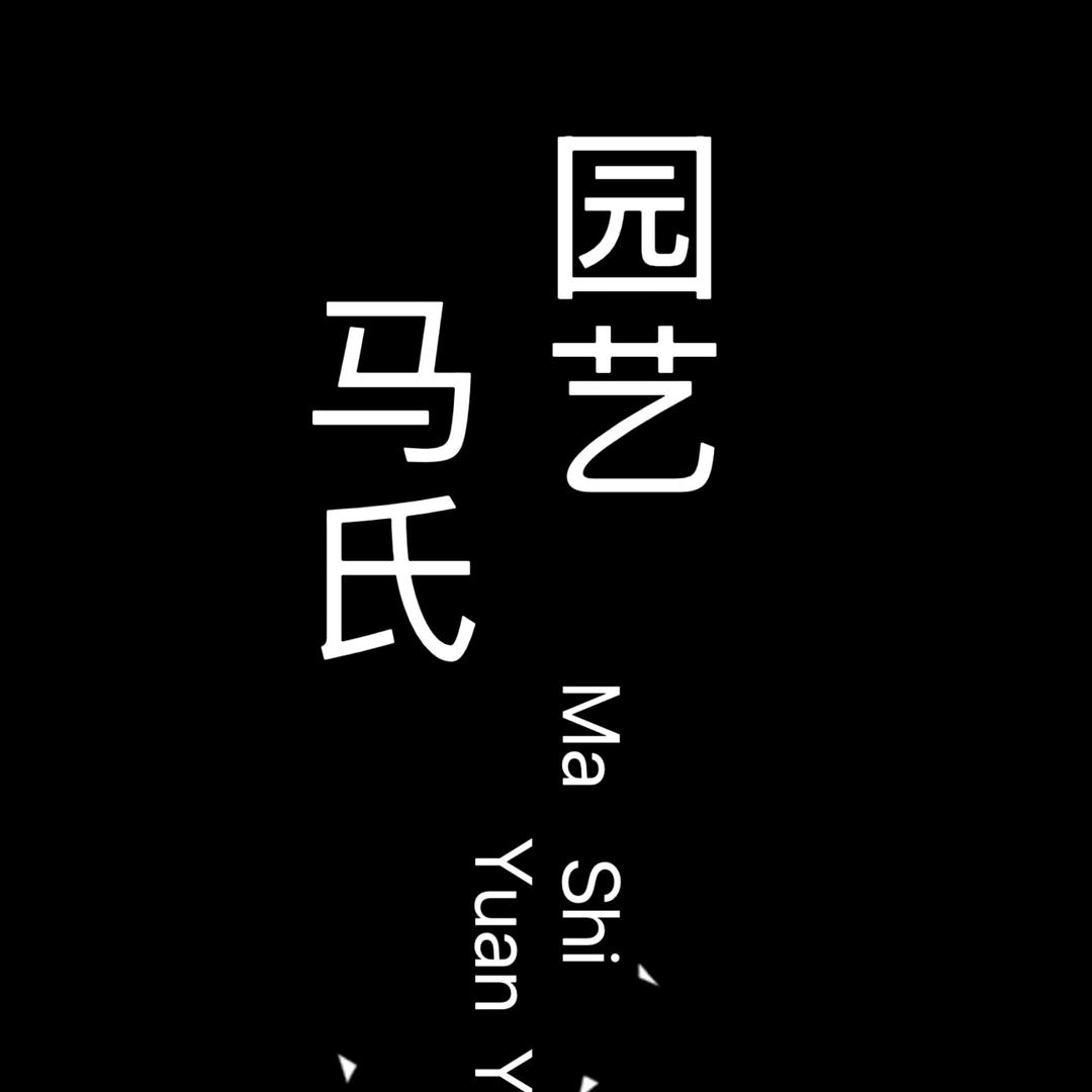 小马哥的块根植物园