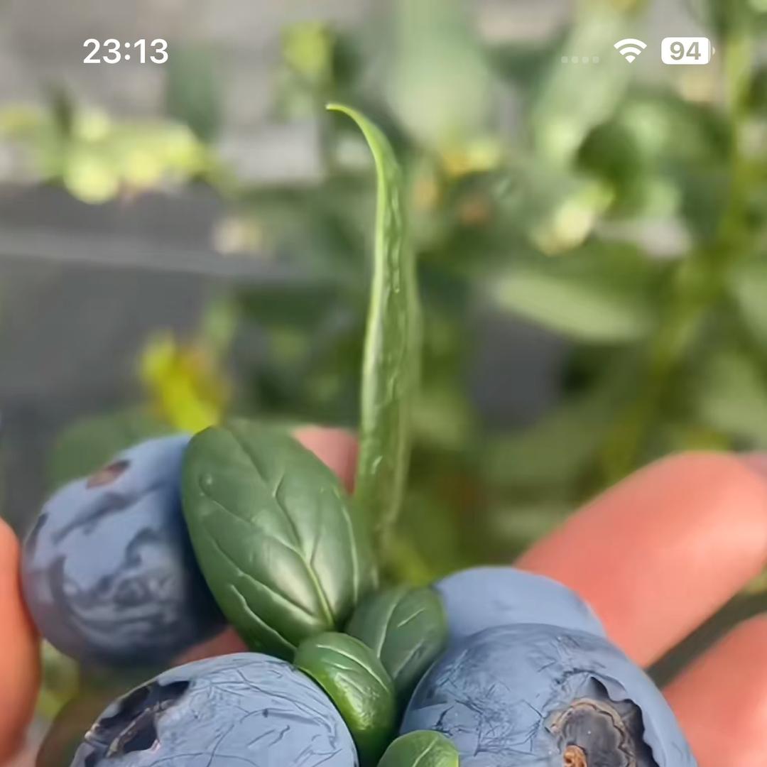 云南基地十二店