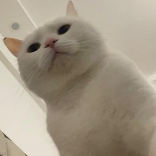 叫我女王大人头像