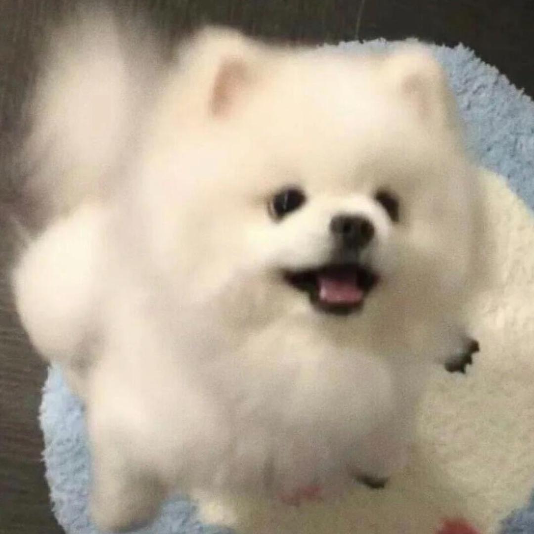 呆不住乐