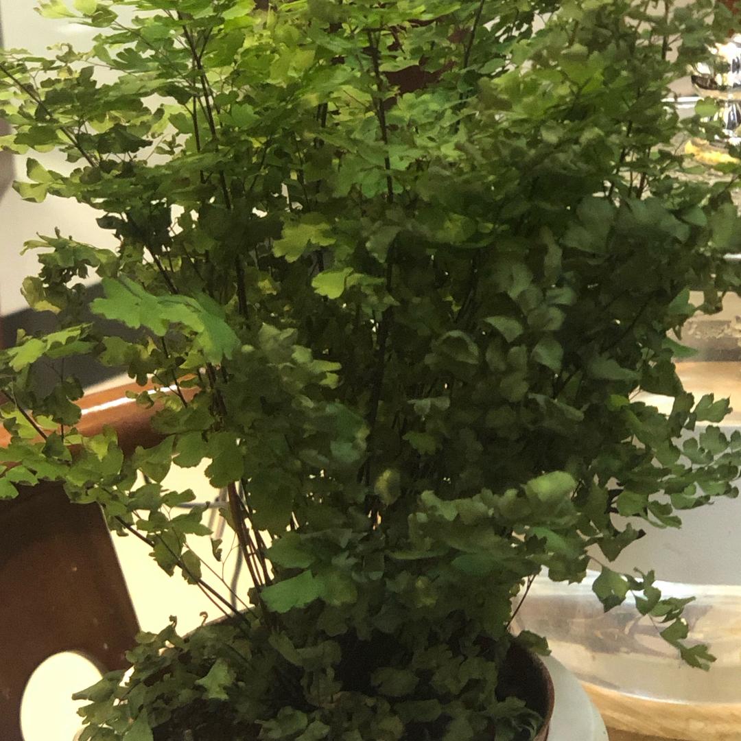 优选品牌系列