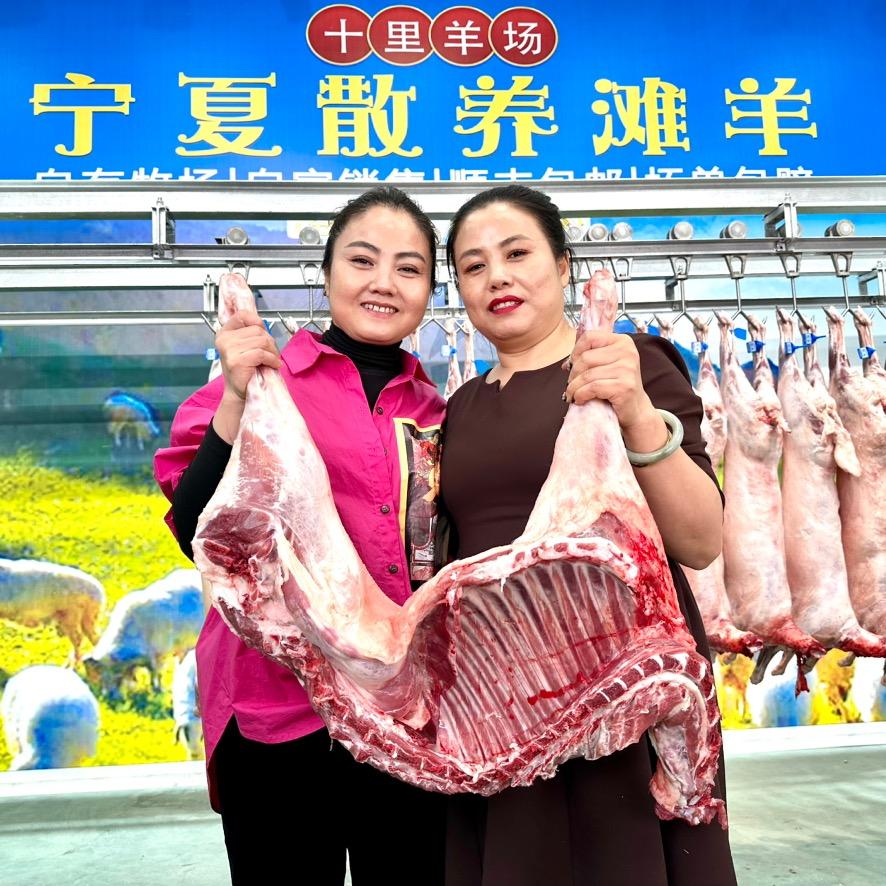 十里羊场散养滩羊